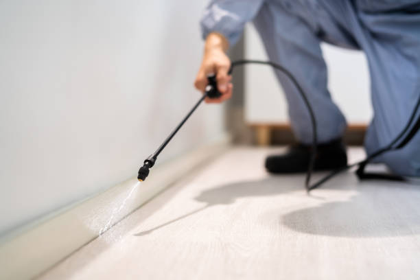 Licensed Pest Control service in Hamilton, MT - Show Me Pest Control